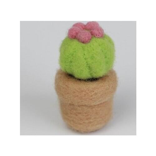 Succulent Needle Felting Kits Wool Felt with 3 Felting Needles Enough Wool English Manual Suitable for Beginners Craft Kits (D)