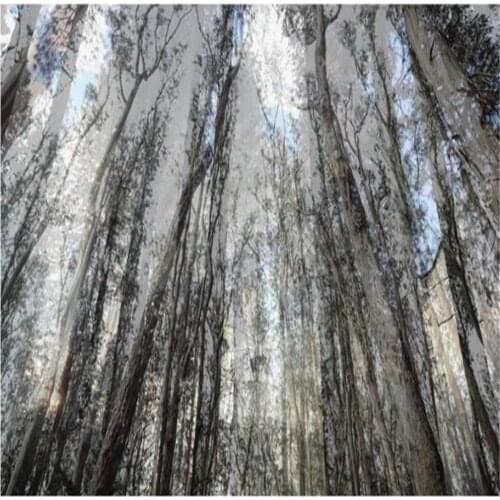 Forest 3d wallpapers big tree living room background wall decoration beautiful scenery wallpapers