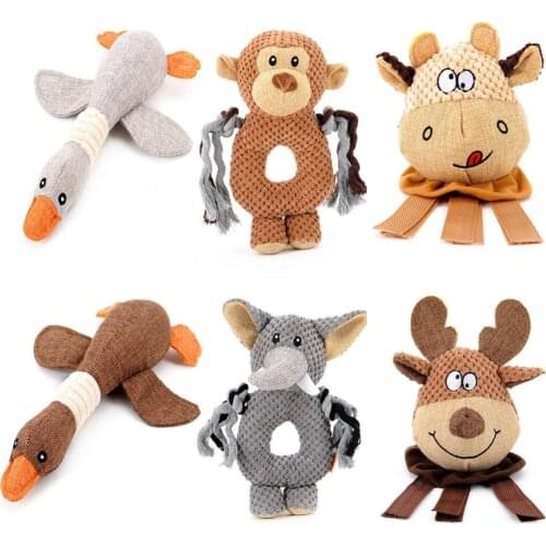 PETCIRCLE Products For Dogs