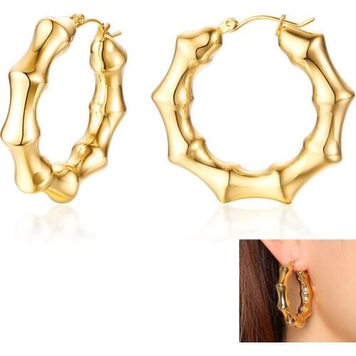 Personality Irregular Design Hoop Earrings Gold Stainless Steel Earrings for Women Anniversary gift jewelry E002