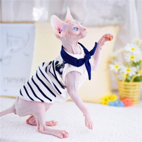 Causal Cat Clothes Wearing Comfort Spring summer Hairless Kitty Clothing for Sphynx Cat Apparel