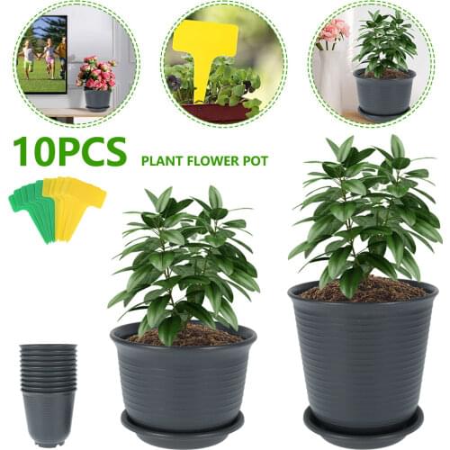 Flower Pots Succulents Planter Water Planting Container Black Plastic Outdoor Indoor Garden Flower Plant Pot Trays