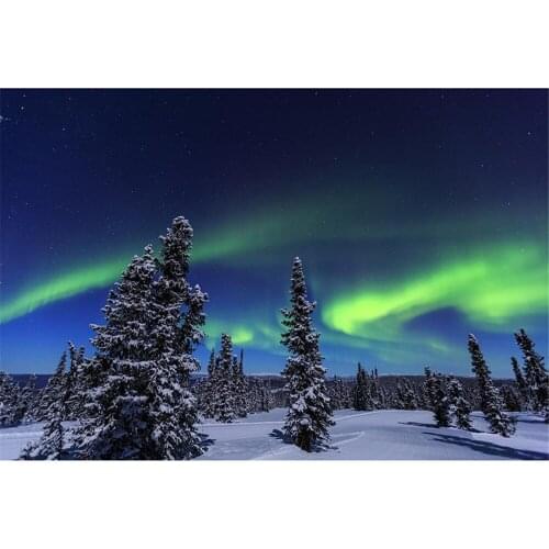 Winter Snow Scenery Landscape DIY 11CT Embroidery Cross Stitch Kits Needlework Craft Set Printed Canvas Cotton Design