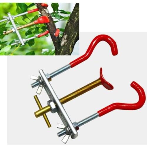 Bonsai Branch Bender Exceptional Wonderful Gyrate Installation Made By Brass