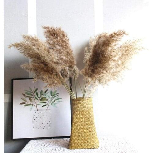 Natural Dried Flower Bouquet Pampas Grass Reed Wheat Ears Foxtail Grass Bouquet Boho Living Room Bedroom Vase Ornament