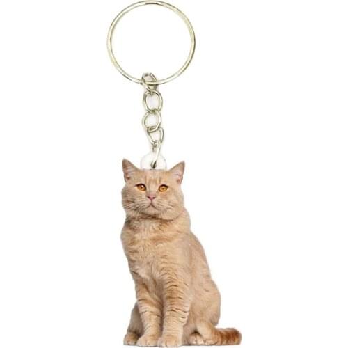 Yellow British Shorthairs Cat Acrylic Keyring Animal Stainless Steel Keychain Chain Ring Boyfriend Gift Gifts for Women Keyrings