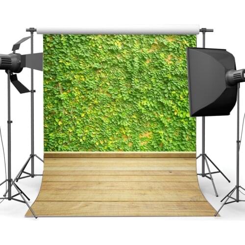 Photography Backdrop Green Leaves Vine Vintage Stripes Wood Floor Backdrops Seamless Sweet Baby Kids Children Adults Background