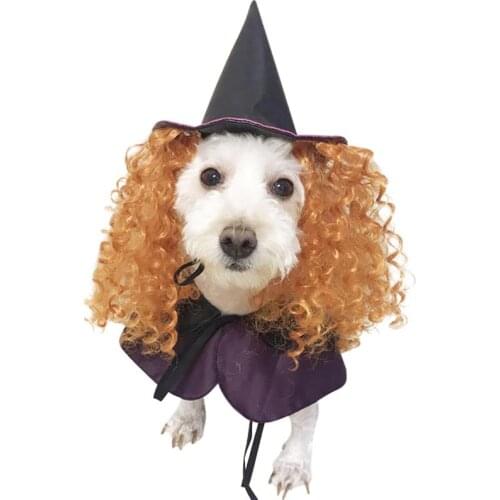 Dog Costumes Halloween Purple Wizard Funny Dog Clothes with Curly Hair Hat Cosplay Dog Costume for Pet Dog Gift