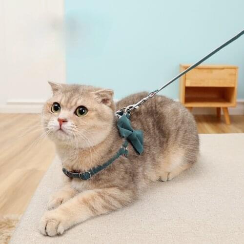 Cat Harness Pet traction rope fashion cotton-filled dog harness hit color Leashes Training Walking Leads Adjust Leashes Set