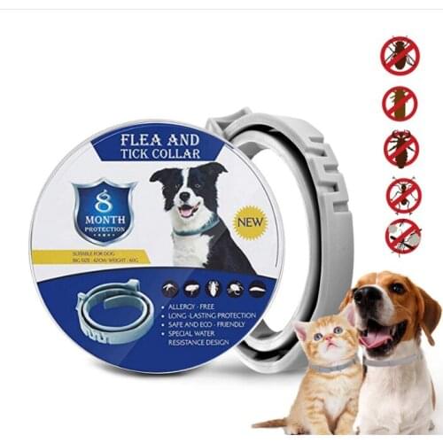 Removes Flea And Tick Collar for Dogs Cats Up To 8 Month Flea Tick Collar Anti-mosquito & Insect Repellent Breakaway Cat Collar