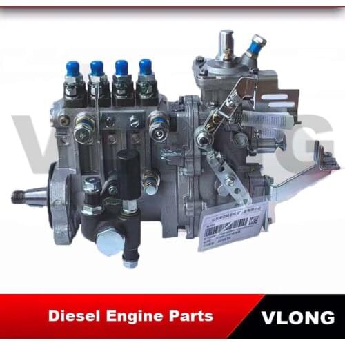 ShanDongKangDa High Pressure Fuel Pump BJ100-1111000B-C32 PMD injection pump 4PMD01 BH4PMD105R11 For YUCHAI 4105 Engine 4105