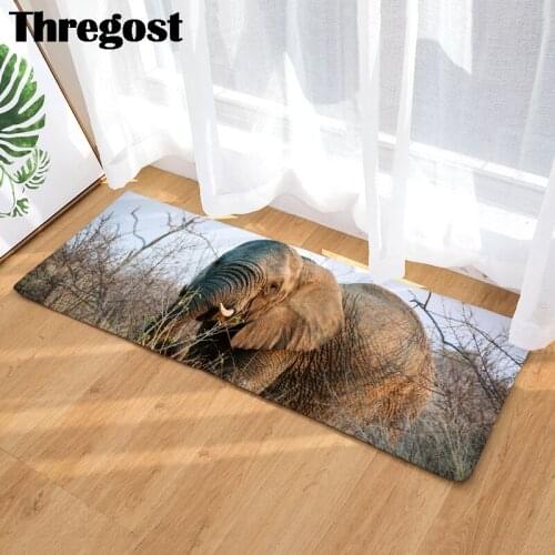 Thregost Kitchen Carpets