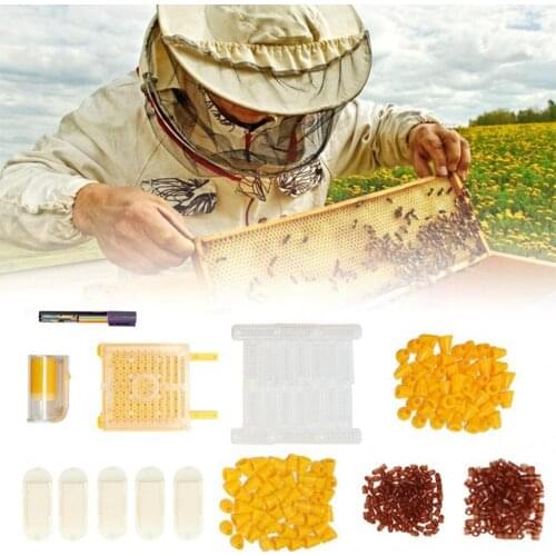 Queen Bee Rearing System Kit for Keeper Beekeeping Feeding Breeding Apiculture Beehive Cell Cup Plastic Tool Set