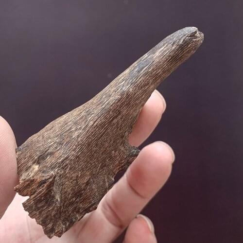 4.5g Authentic Natural Chinese HaiNan oudh wood good smell scents collection investment