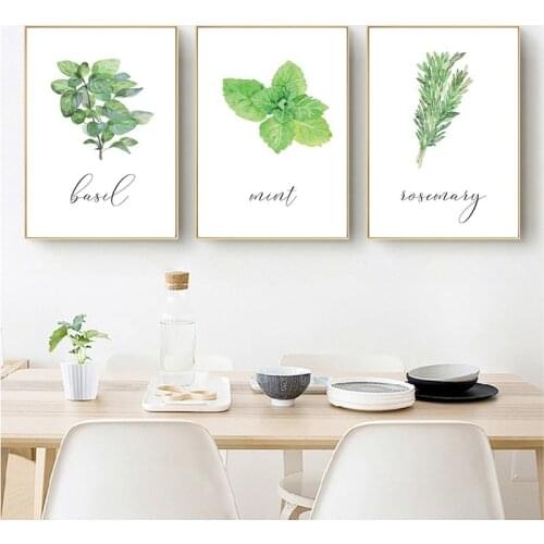 Watercolor Herbs Basil Mint Posters and Prints Kitchen Decor , Green Plant Rosemary Pictures Botanical Wall Art Canvas Painting