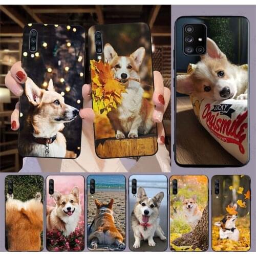 Corgi soft Coque Phone Cover For samsung Galaxy A50 A51 A20E A11 A40 A30s A71 A70 A31 A9S A10S J6Plus J7 J8 A80 cases