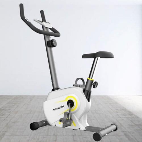 Home Magnetic Control Exercise Bike Silent Indoor Upright Exercise Weight Loss Fitness Equipment Dynamic Bike