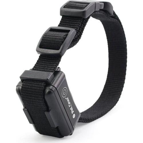 Petrainer 619A Reciever