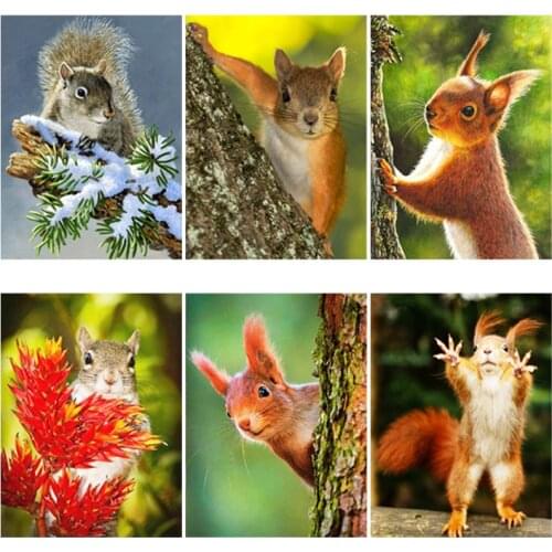 DIY Squirrel 5D Diamond Painting Full Round & Square Rhinestone Mosaic Romantic Embroidery Cross Stitch Wall Art Home Gift