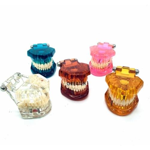 Dental Study Tooth model Plant restoration model Pathological Teeth Model Fit for dental Teaching Study