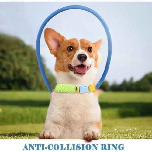 Blind Pet Anti-Collision Collar Dog Safe Halo Harness For Scorpion Cataract Animal Protection Circle Guide Dogs Supplies