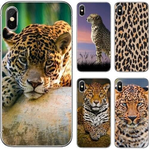 Phone Cases Z-Wallpaper-Leopard For iPod Touch iPhone 10 11 12 Pro 4S 5S SE 5C 6 6S 7 8 X XR XS Plus Max 2020