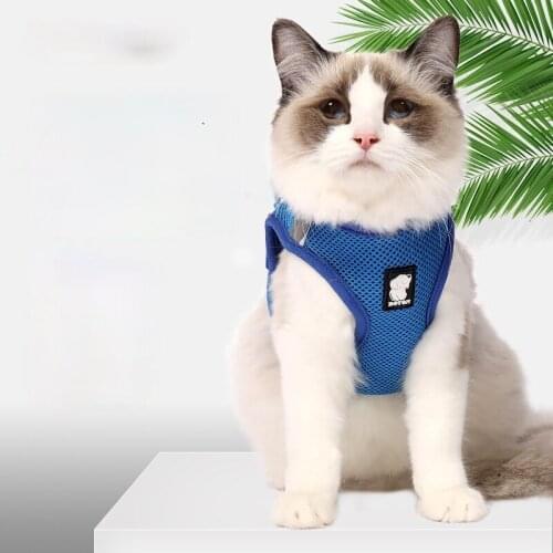 Fashion Reathable and Anti-breakaway Cat Harness Traction Rope Cat Chain Cat Chest Back Cat Accessories