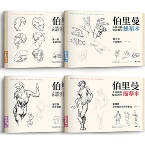 4 PCS Sketch Character Structure Drawing Practice Tutorial Textbook Figure Body Structure Teaching Tracing Book