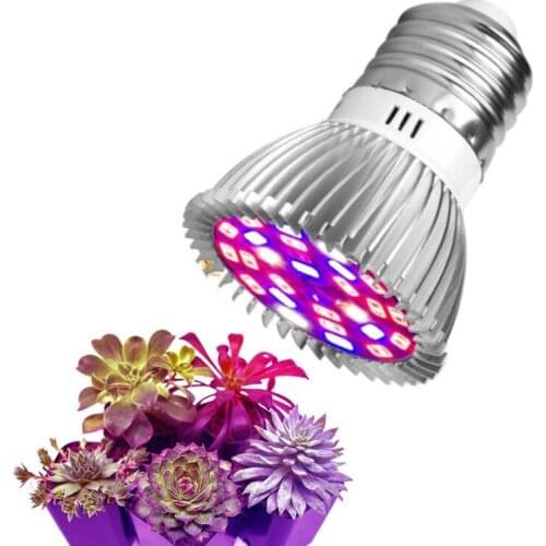 FENGLAIYI Professional Lighting