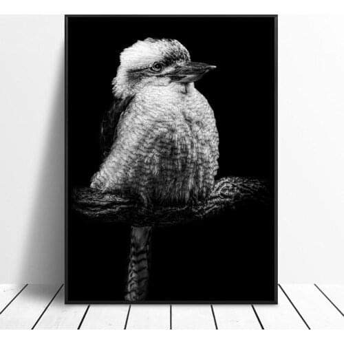 Lack and white Kookaburra Art Canvas Poster Home Decoration Painting No Frame