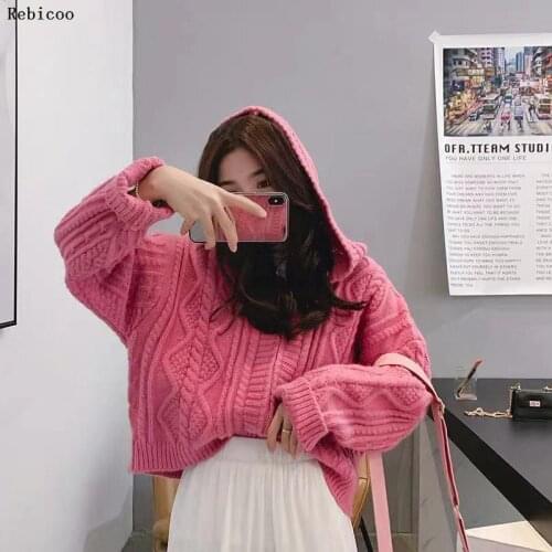 Female sweater knit cardigan women loose solid color long-sleeved wild hooded short autumn Korean fashion coat