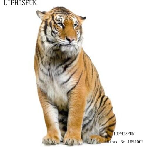 5D DIY Diamond Painting kit Square Resin Rhinestone Embroidery Cross Stitch Arts for Craft Home Wall Decor Tiger