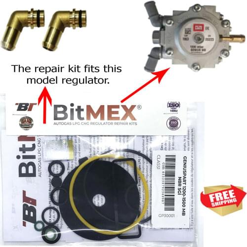 Brc Type LPG CNG GPL Reducer Repair Kit Brc Vaporizer Diaphragm Seal Set