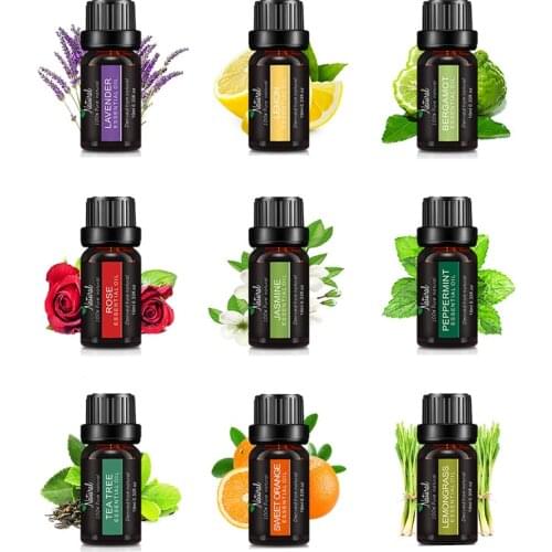 Oil Diffuser Natural Plant Car Perfume Fragrance Scent Replace bulldog Car air freshener Flavoring Refill Auto Accessories