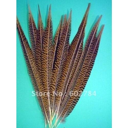Free Shipping 100pcs 40-50cm 16-20 inches natural pheasant feather tail Golden pheasant tail