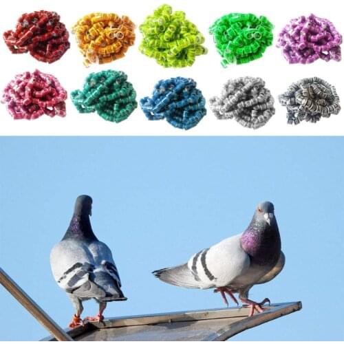 100Pcs 2020 Multicolor Pigeon Identify Rings Leg Foot Rings Training Tool Aluminium Durable Bird Ring Racing Bird Tools