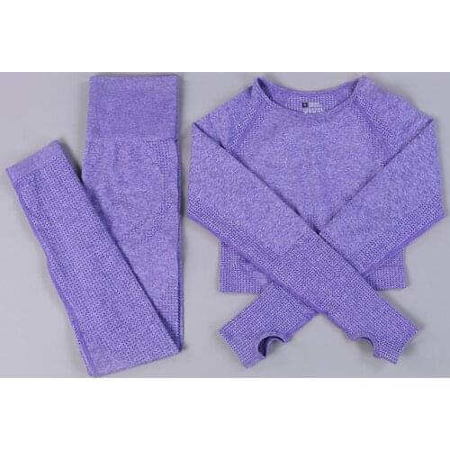 Hot Sale 2 Pieces/Set Of Seamless Female Sports Suit Gym Workout Clothes Long Sleeve Fitness Dancing Crop Top And Tightening Leg