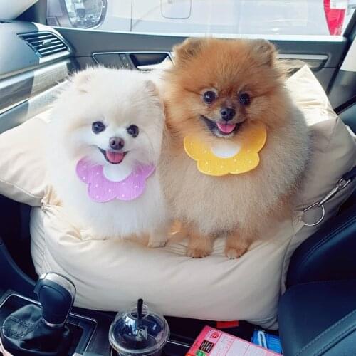 Dogs Cats Saliva Towels Pet Products Clothes and Decorations Pink Flowers Online Celebrity Dog Clothes for Small Dogs Floral