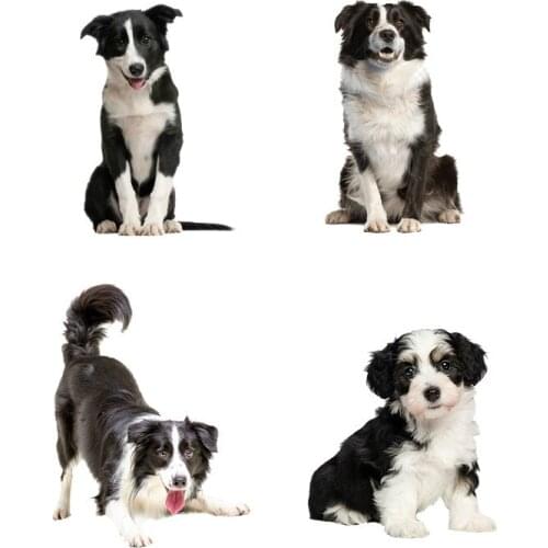 Border shepherd dog sticker auto window waterproof zero label portable truck motorcycle parts PVC 19cm-15cm