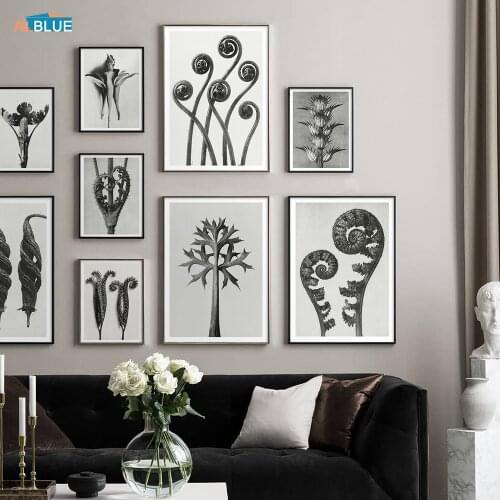 Natural Flower Blossom Poster Vintage Botanical Canvas Painting Botany Wall Art Print Floral Branch Picture Home Decoration Room