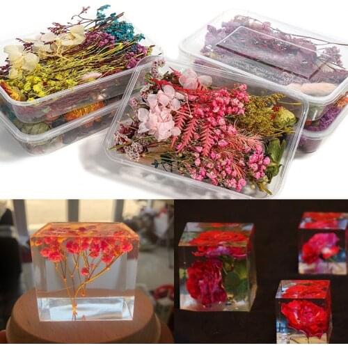 1 Box Real Dried Flower Dry Plants For Aromatherapy Candle Epoxy Resin Pendant Necklace Jewelry Making Craft DIY Accessories