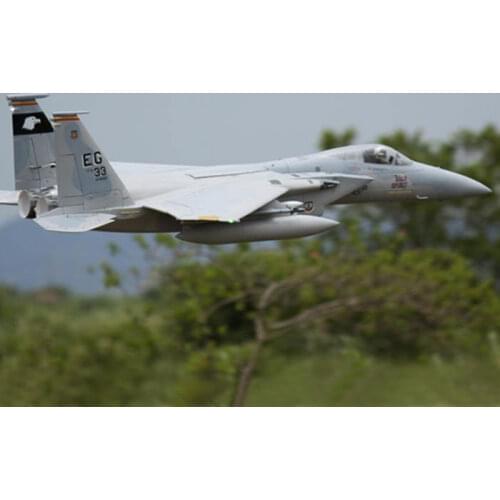 Electric Remote Control Freewing F-15 90mm RC Jet Model