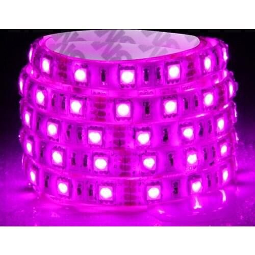 Free Shipping 5M/Roll LED Strip Light Flexible Lamp Tape Diode SMD5050 DC12V/24V Desk Screen TV Background Room Lighting