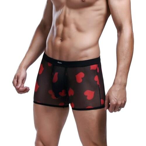 New Heart Print Male Panties Sexy Mesh Low Waist Breathable Underwear Comfortable Fashion Casual Daily Male Boxer Underpanties