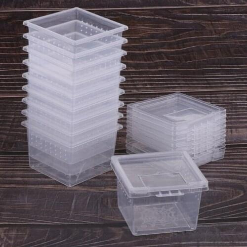 Feeding Box Reptile Cage Hatching Container Rearing Tank Clear Reptile Vivarium Terrarium Insect Rearing Box Food Feeding Box