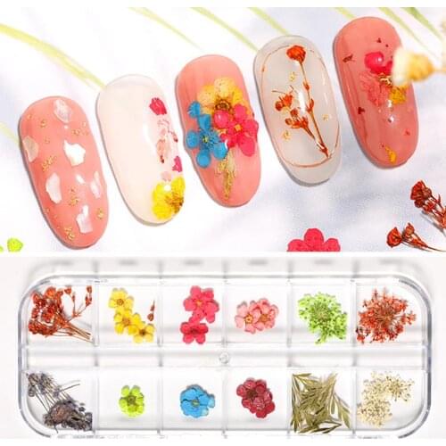 3 Box Dried Manicure flowers Nail Art Decoration 3D Natural Floral Petal DIY Sticker Dry Nails Decals Manicure Tools for Women