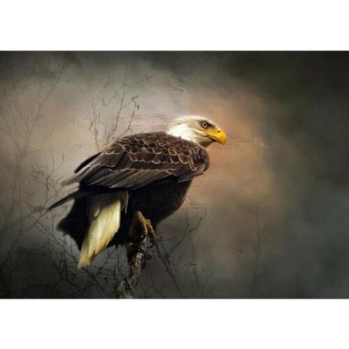 Animal 5D DIY Diamond Painting Full Square/Round Crystal Sale Diamond Embroidery eagle Pictures of Rhinestones Home Decor FG2003