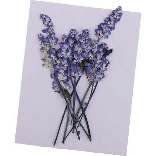 10 Pieces Mixed Size Real Pressed Leaves Flower Embellishments Card Making Scrapbooking Art Crafts Sage Flowers