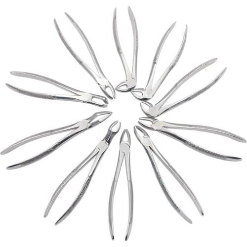 10Pcs Durable Dental Tooth Extracting Forceps Stainless Steel Surgical Tooth Extraction Pliers Kit with Storage Bag