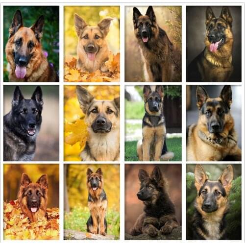 5D Full Square Round Drill Diamond Painting German Shepherd Animal Dog Diamond Mosaic Set Dog Embroidery Cross Stitch Home Decor